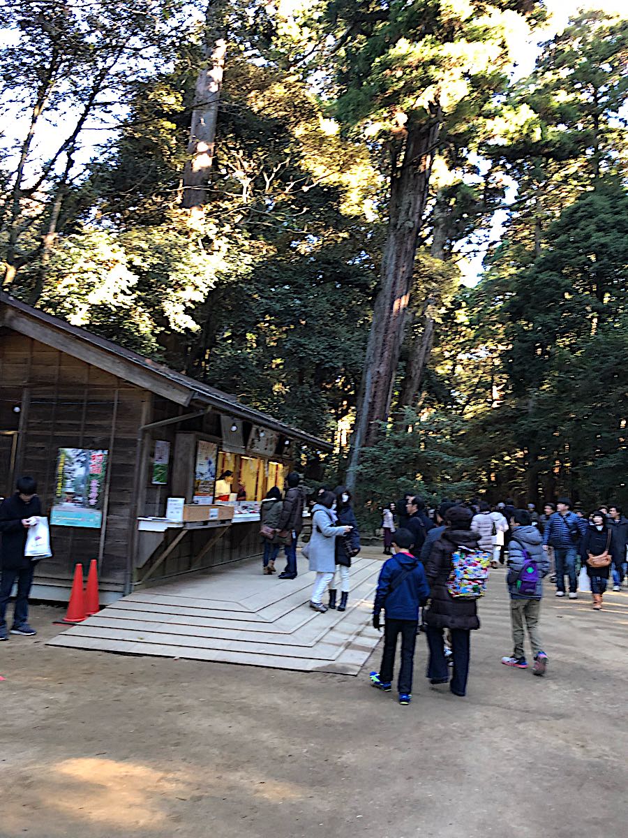 rblog-20190103183509-01.jpg