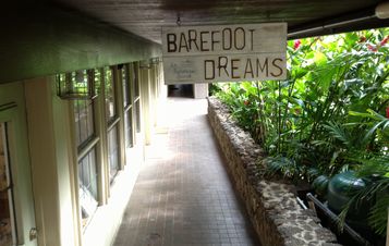 Bearfoot Dream