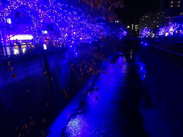DSC08878_R.JPG