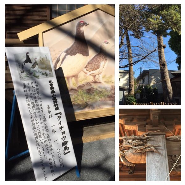 rblog-20150212220618-05.jpg