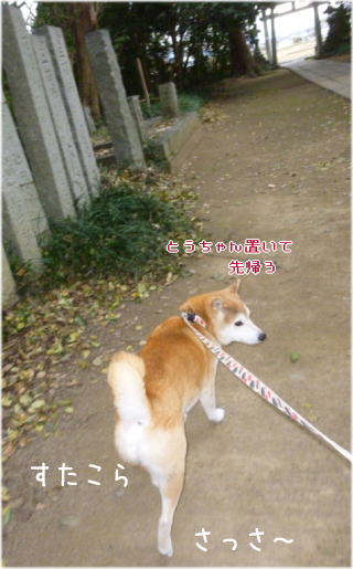 0102初詣5.jpg