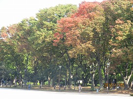131105-421(27-36).jpg