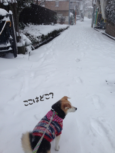 2014-02-08 14.30.00.jpg