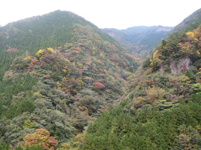 IMG_9821.JPG