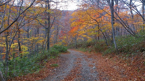 20141029北泉ヶ岳3登山開始.jpg