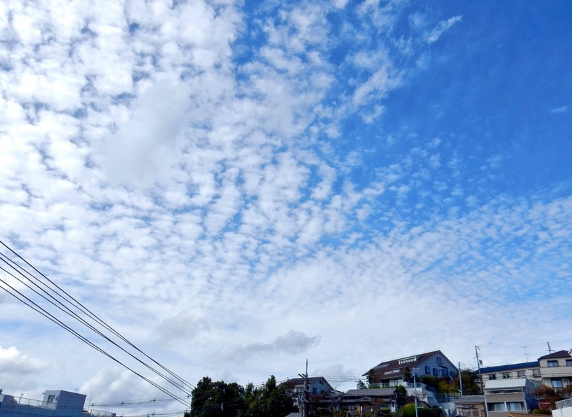 空3.JPG
