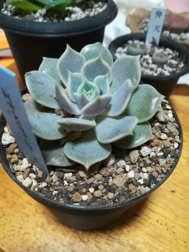 rblog-20171014210531-02.jpg