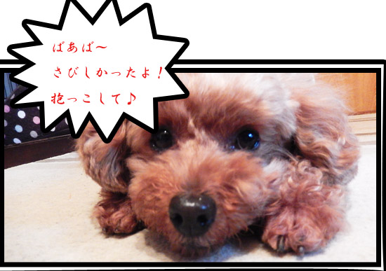 こころ７