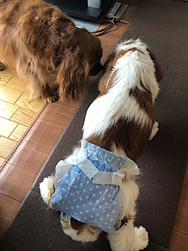 rblog-20180321165829-01.jpg