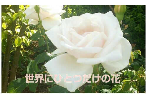 rblog-20160512195623-00.jpg