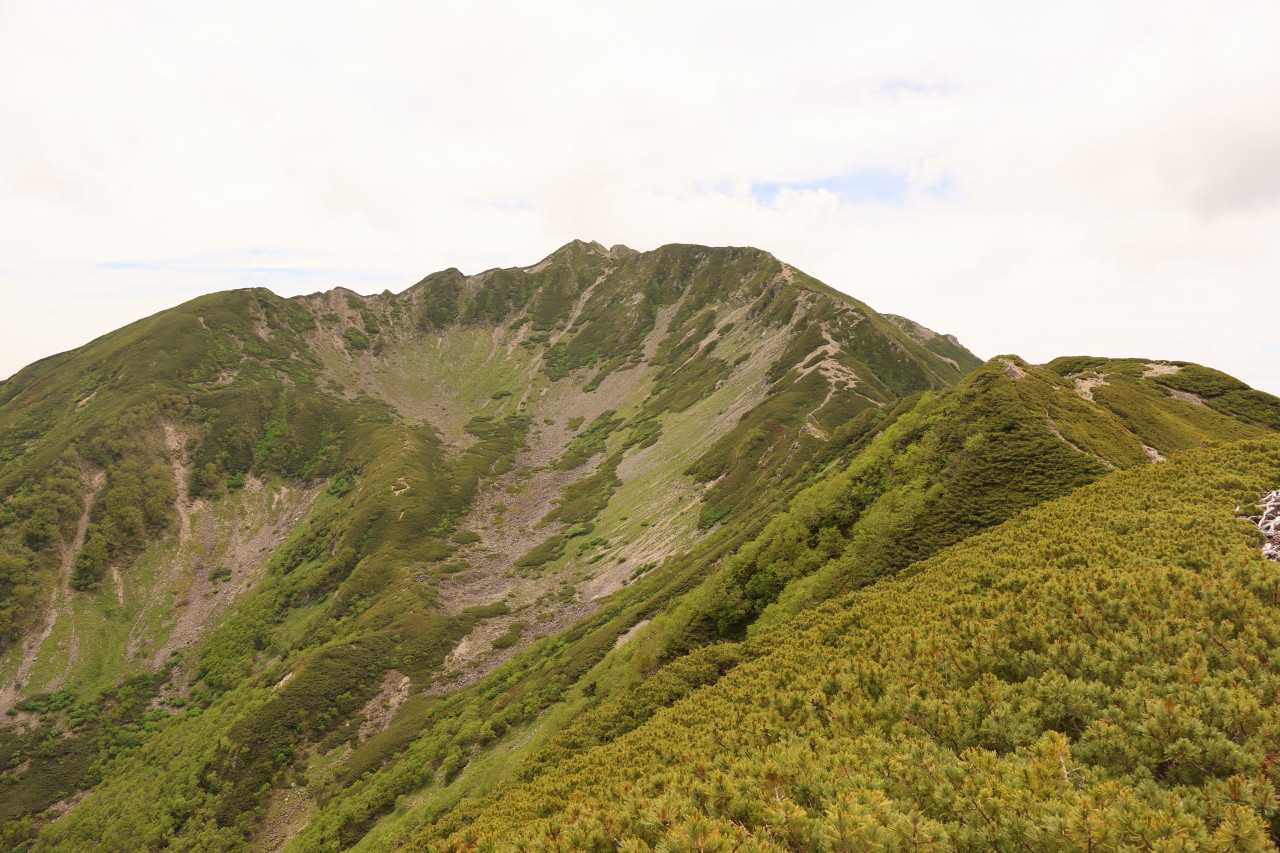 仙丈ケ岳登山(山梨県/長野県） | ぶらぶら自然散歩2 - 楽天ブログ