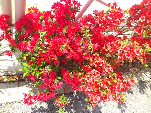 2012.04.28.3 - コピー.JPG