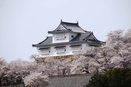 津山城