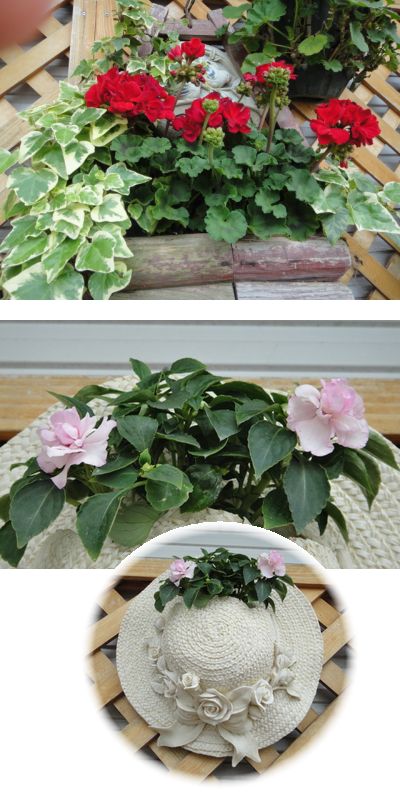 ゼラニュームとアップルブロッサム（フィエスタ）