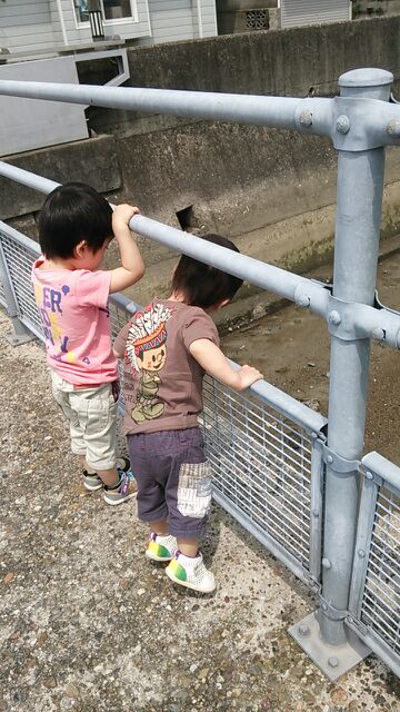 rblog-20140626230646-02.jpg