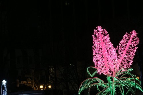 ライラックのイルミネーション