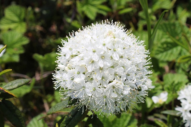 201506kucch.jpg
