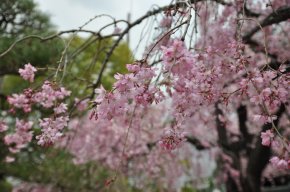 DSC_1859.JPG