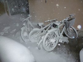 駐車場の中.jpg