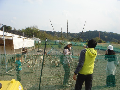 麦わらの家族.jpg