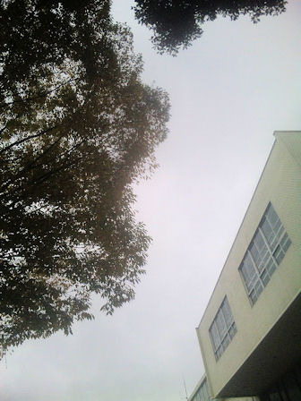 １１／１４空