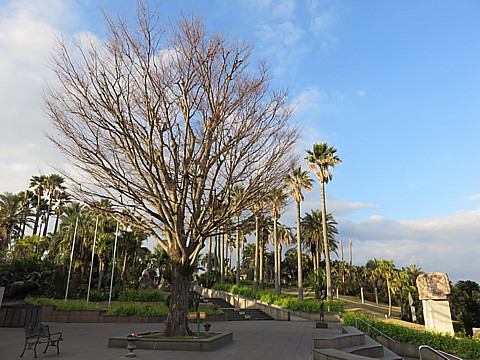21 IMG_0684.jpg