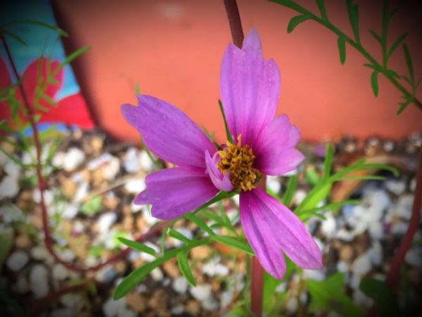 rblog-20160731172856-05.jpg