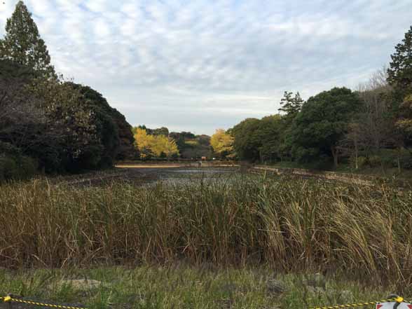 三ツ池公園_3