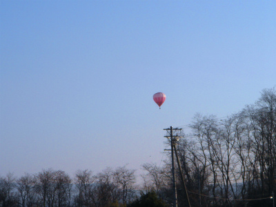 DSC08916.jpg