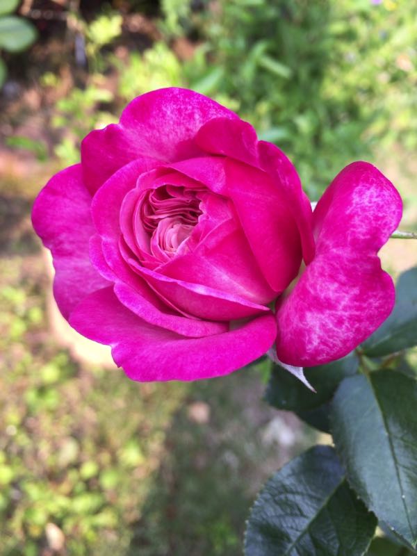 rblog-20170617232810-03.jpg