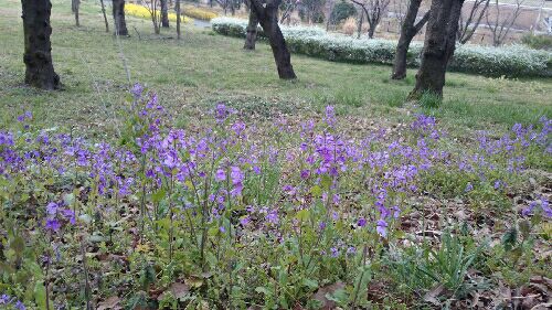 rblog-20150410112831-01.jpg