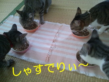 20120904_5.jpg