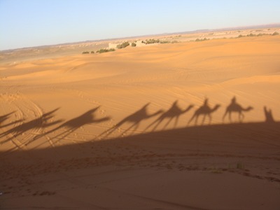 サハラ砂漠を歩くらくだの影
