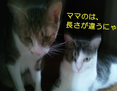 20120814_4.jpg