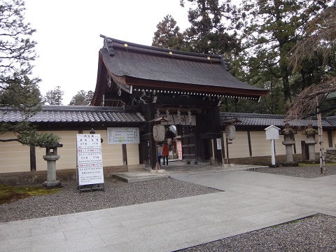 DSC08490.JPG
