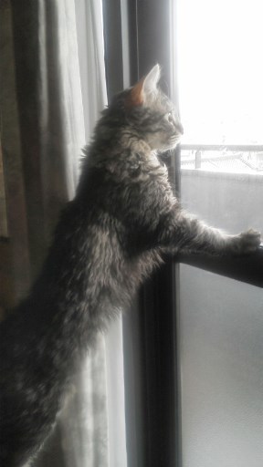 20140828085516.jpg