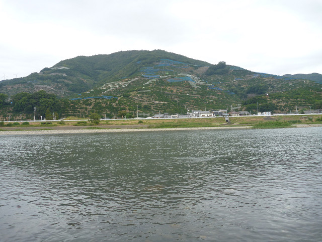 resize0028.jpg