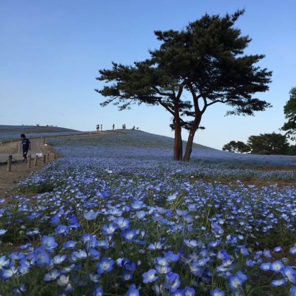 rblog-20150908072602-01.jpg
