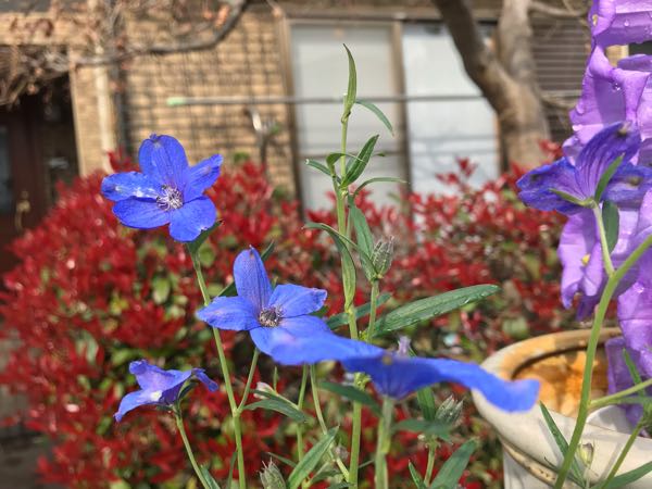 rblog-20190401163710-02.jpg