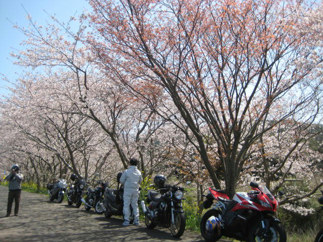 IMG_7956.JPG
