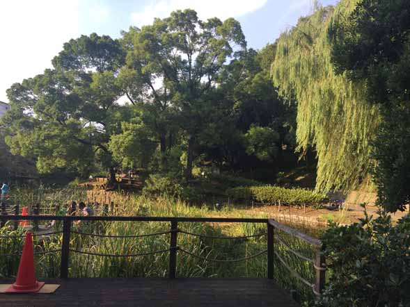 平和の森公園_2