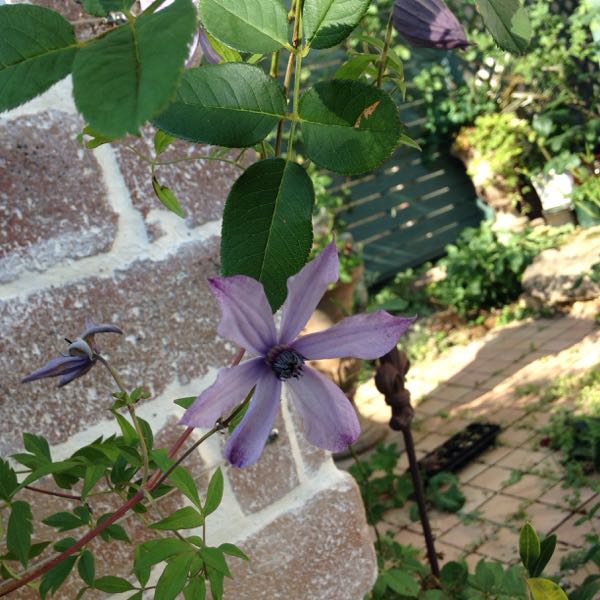 rblog-20160919095104-01.jpg