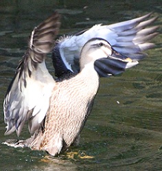 E7D_8484-2.jpg
