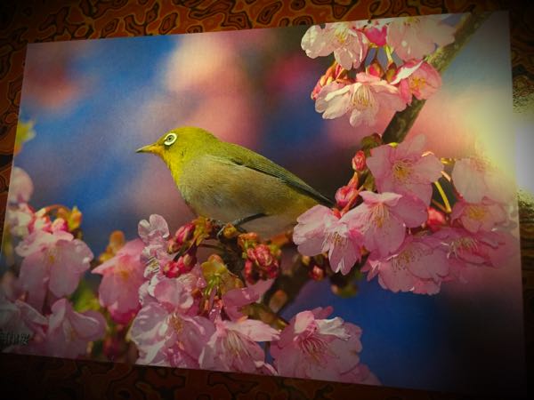 rblog-20160304190148-04.jpg