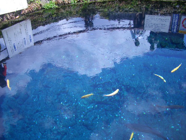 平成24年4月24日　忍野八海 002.JPG