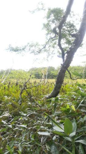 rblog-20180814045530-06.jpg