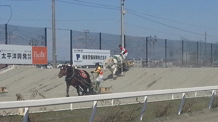 20160410_1403021.jpg