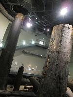 IMG_2558.jpg