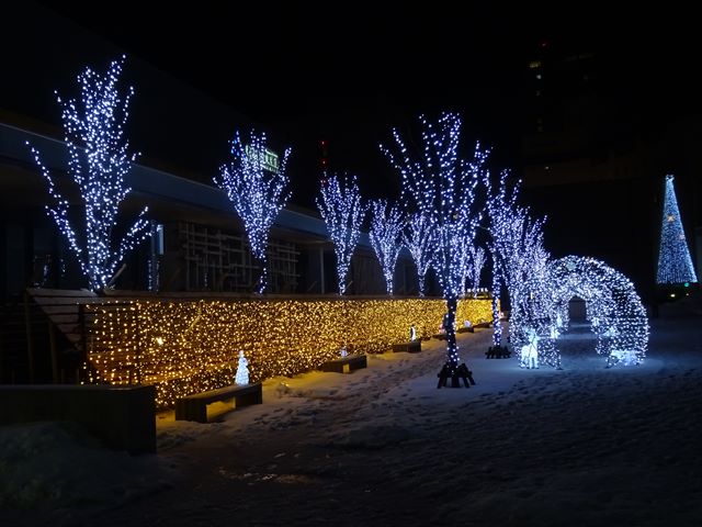 DSC09557_R.JPG