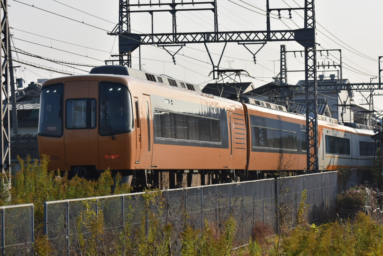 DSC_7231.JPG